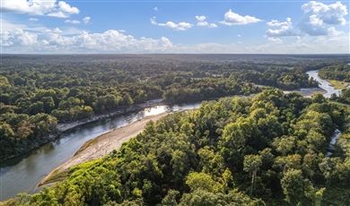 Land for Sale in Franklinton Louisiana 70438